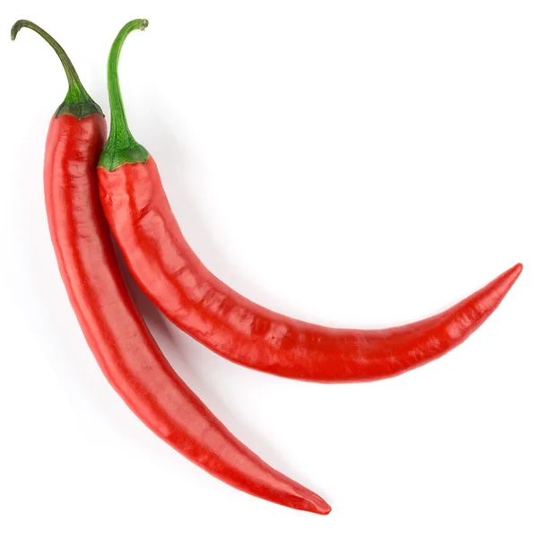 Chili — Stock Photo, Image