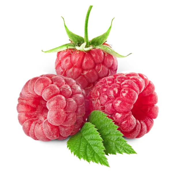 Himbeeren — Stockfoto