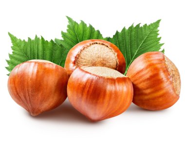 fındık