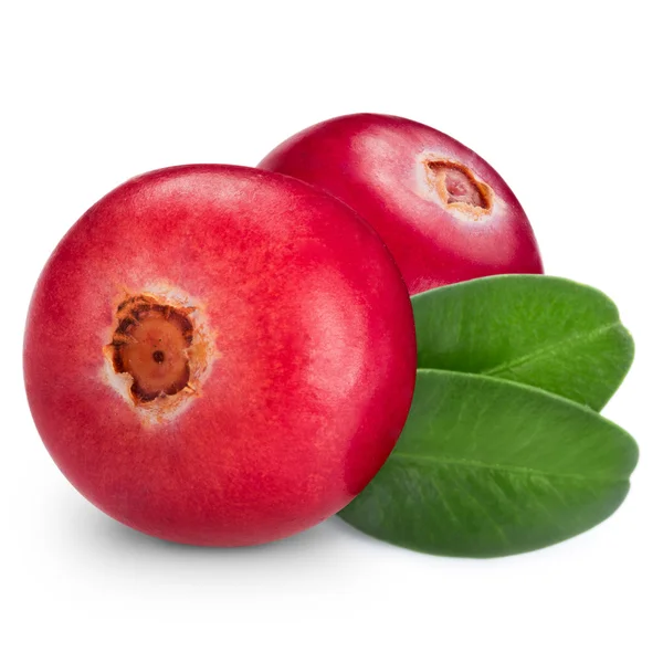 Cranberries — Stock Photo, Image