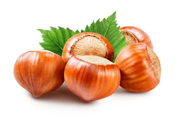 Hazelnuts — Stock fotografie