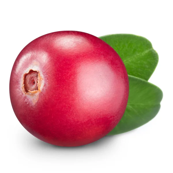 Cranberries — Stock Photo, Image