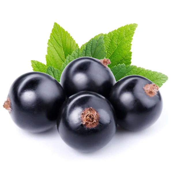 Black currant — Stock Photo, Image