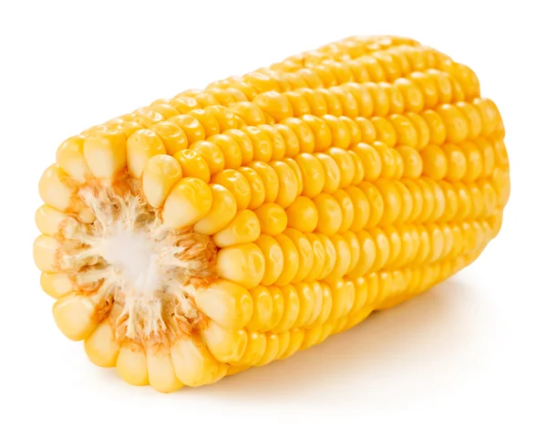 Corn — Stock Photo, Image