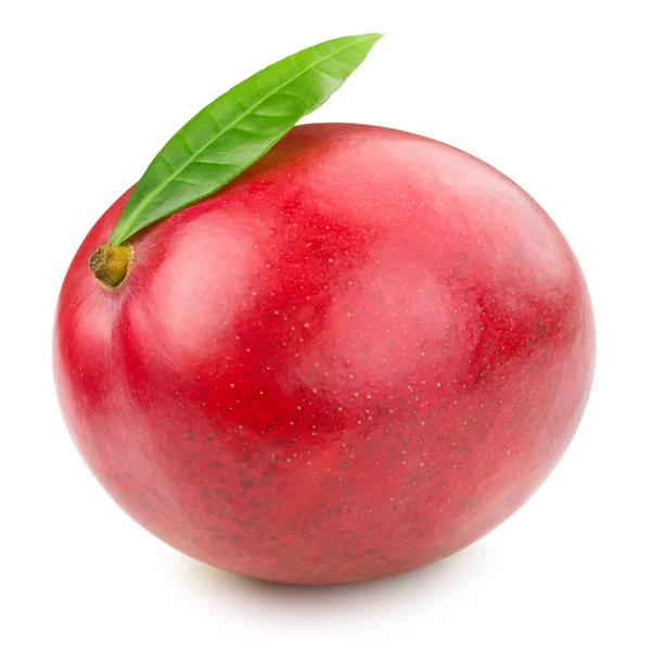 Mango — Stockfoto