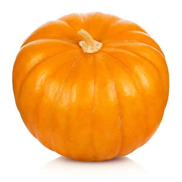 Pumpkin Stock Image