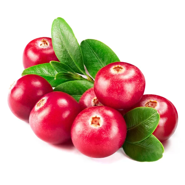 Cranberries — Stock Photo, Image