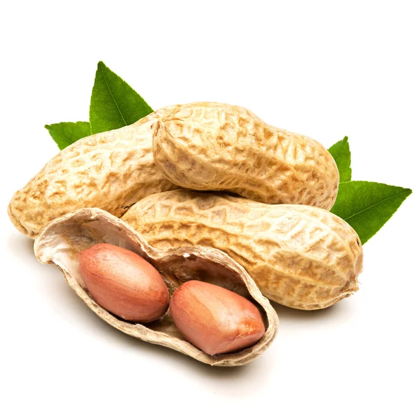 Amandes — Photo