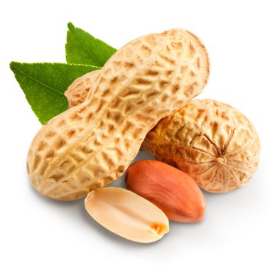 Fıstık
