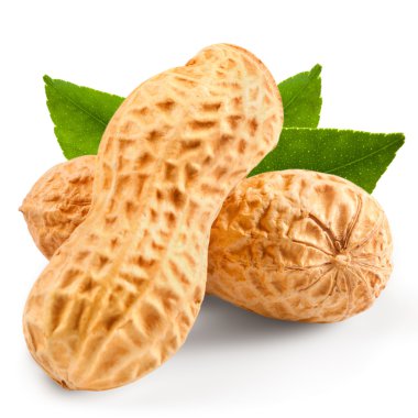 Fıstık