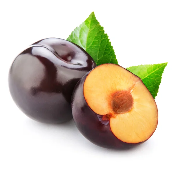 Plums isolated — Stock Photo, Image