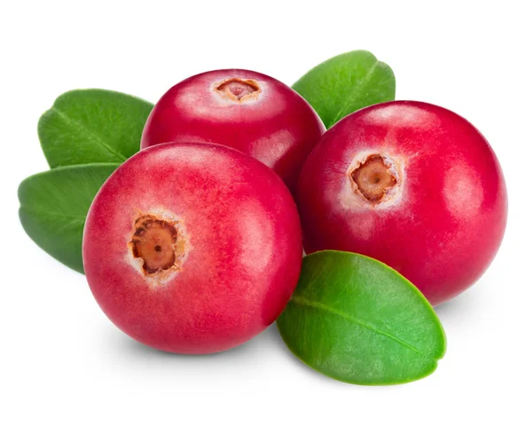 Cranberries — Stock Photo, Image