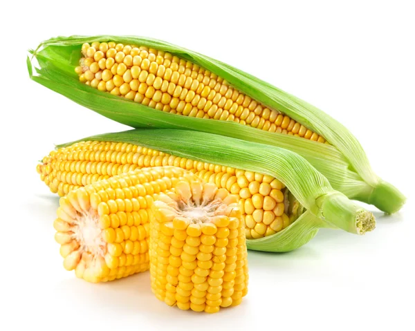 Corn — Stock Photo, Image