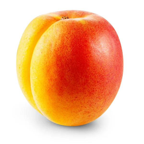 Apricot — Stock Photo, Image