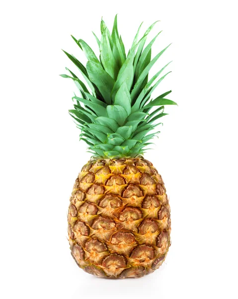 Ananas — Zdjęcie stockowe