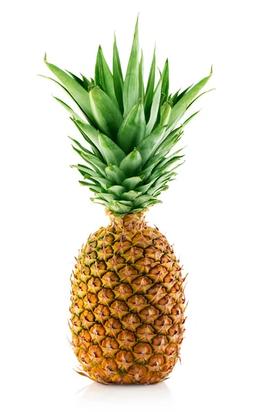 Ananas — Zdjęcie stockowe