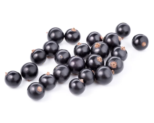 Currants — Stock Photo, Image