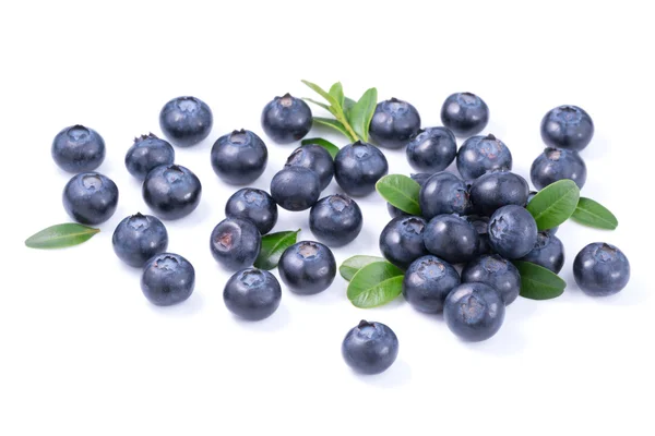 Blueberries — Stock Photo, Image