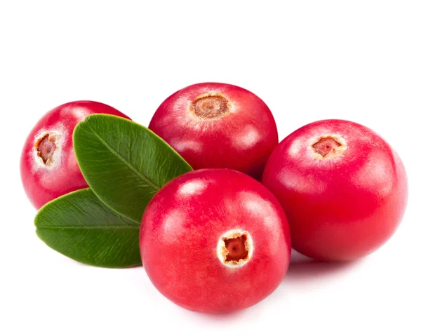 Cranberries — Stock Photo, Image