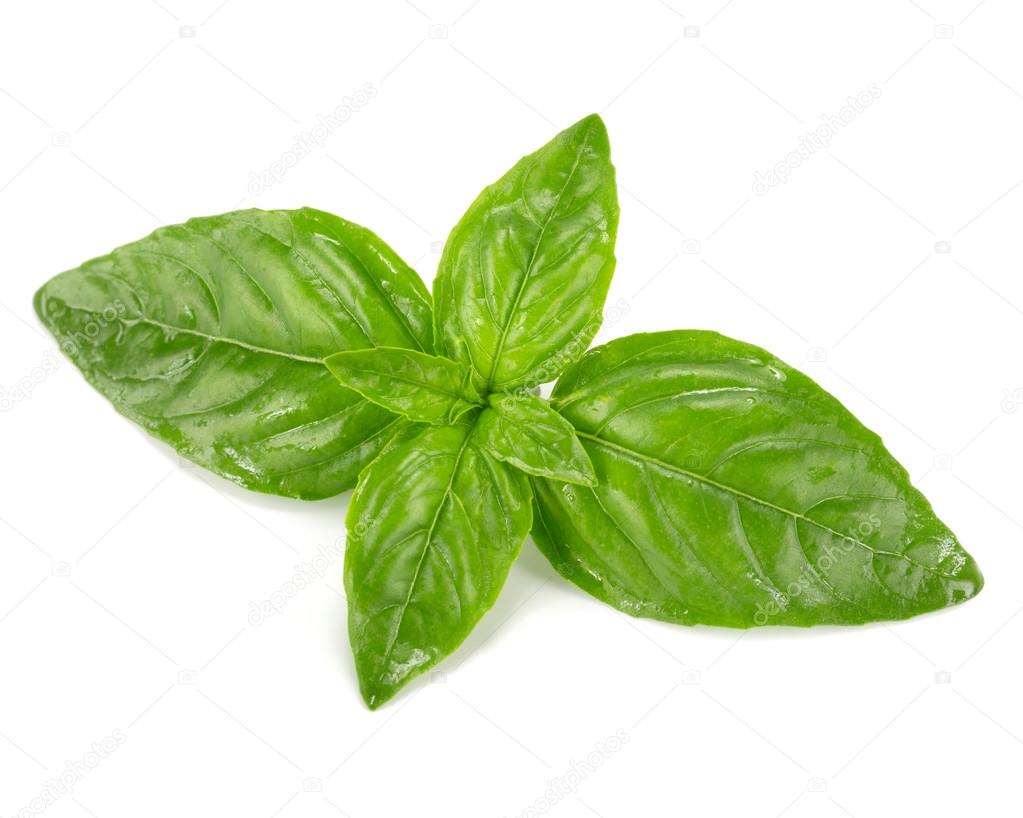 basil