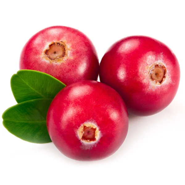 Cranberries — Stock Photo, Image