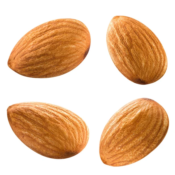 Amandes — Photo