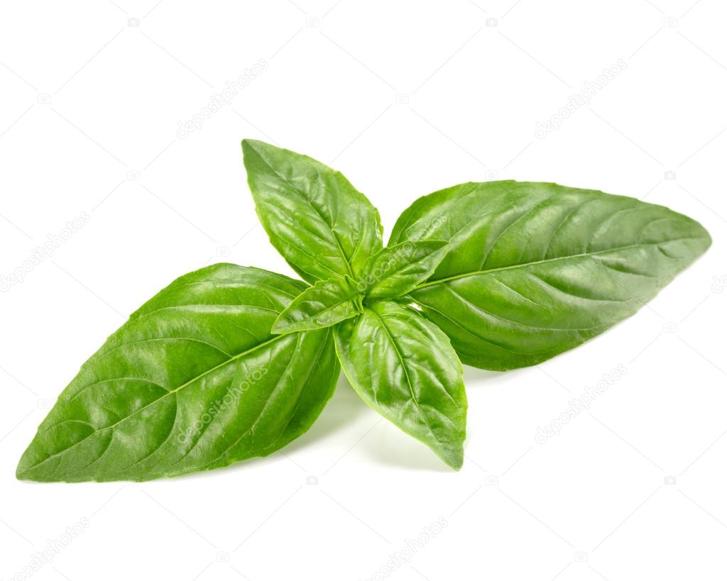 basil