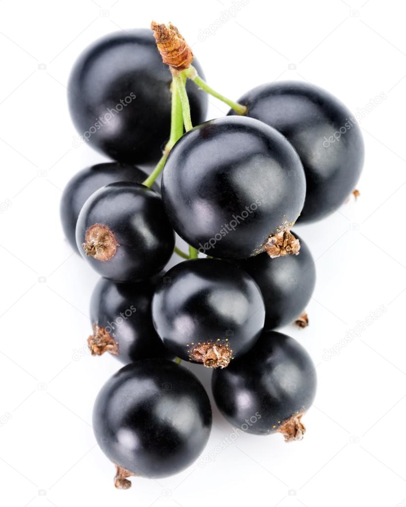 black currants