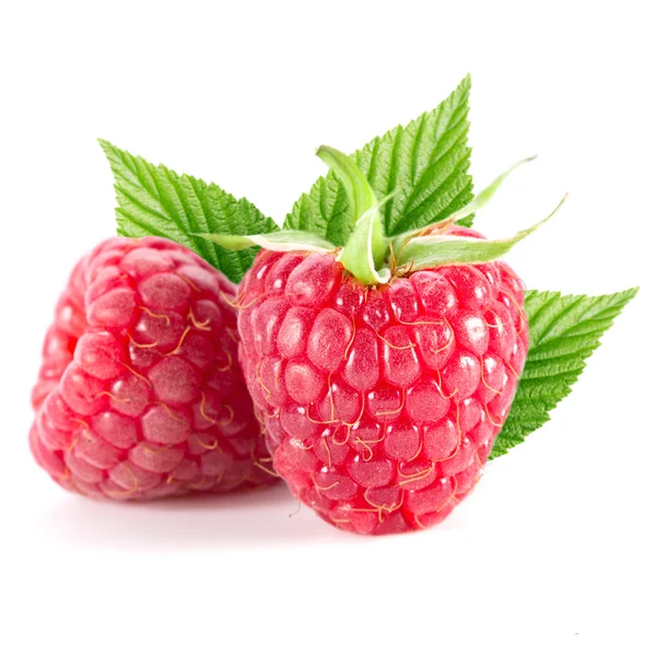 Raspberries — Stock Photo, Image