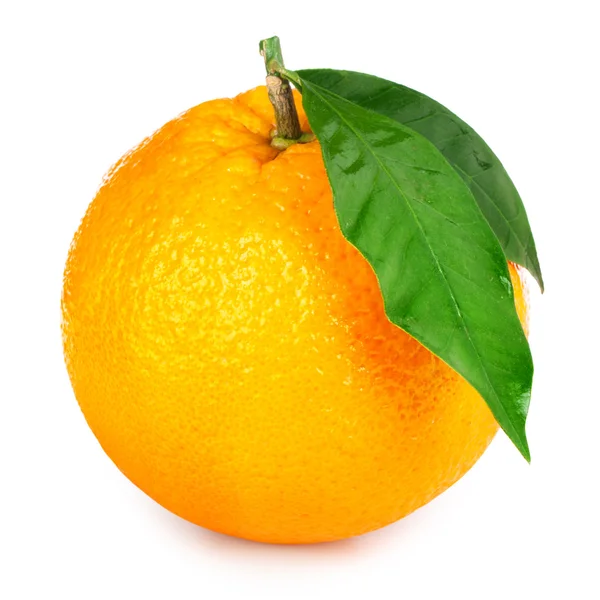 Orange — Stockfoto