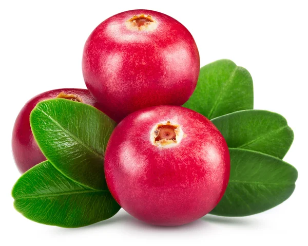 Cranberries — Stock Photo, Image