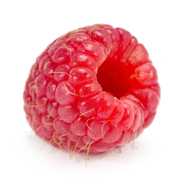 Himbeeren — Stockfoto