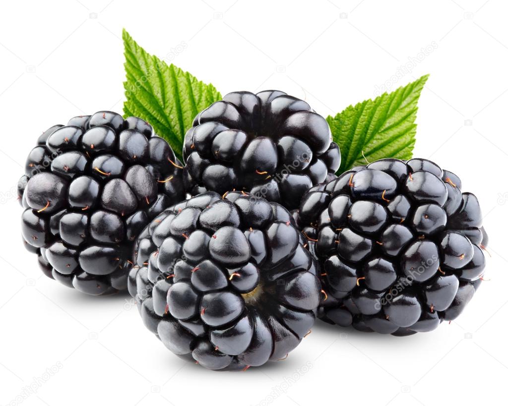 Blackberries