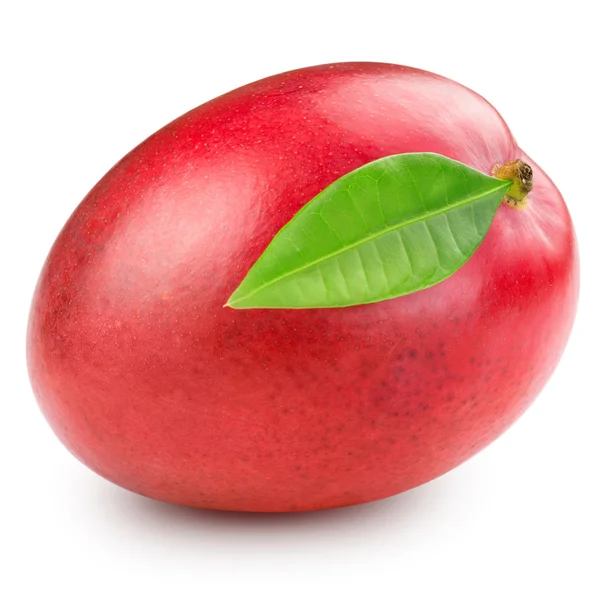 Mango — Stockfoto