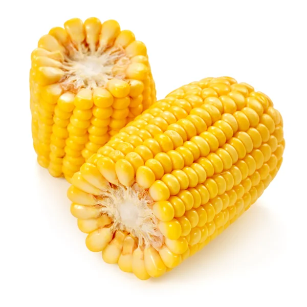 Corn — Stock Photo, Image