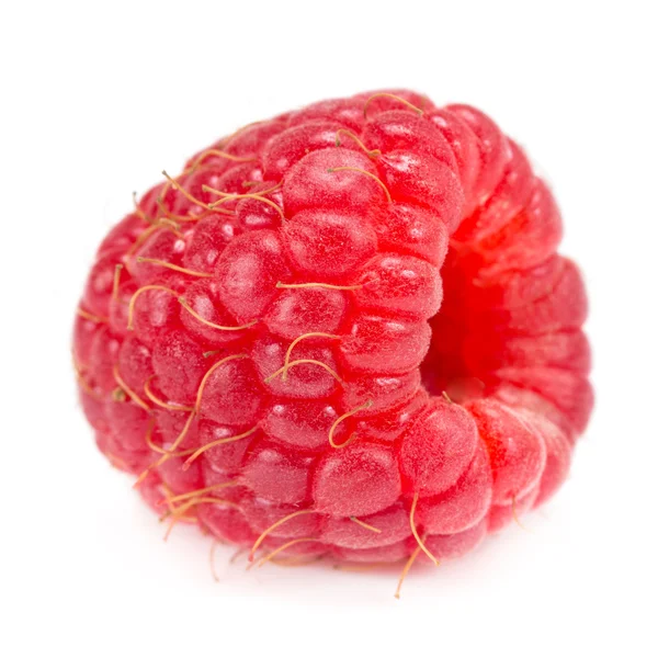 Himbeeren — Stockfoto