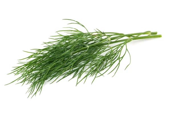 Dill. — Fotografia de Stock