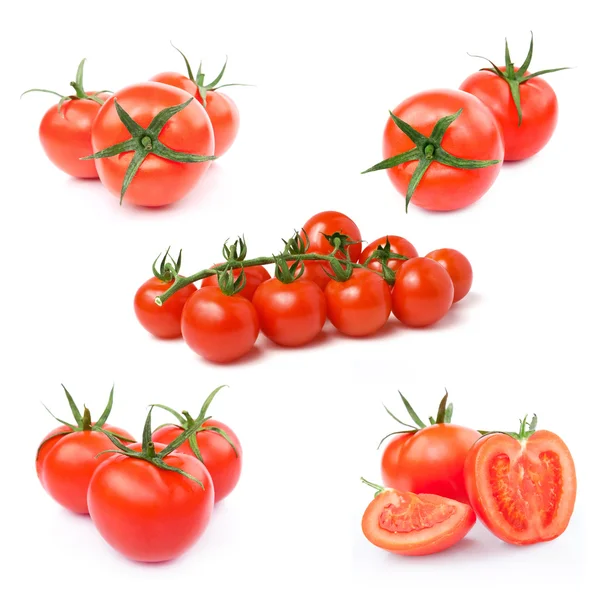 Pomodoro — Foto Stock