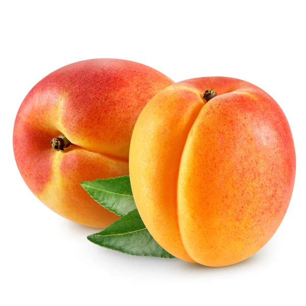 Apricots — Stock Photo, Image