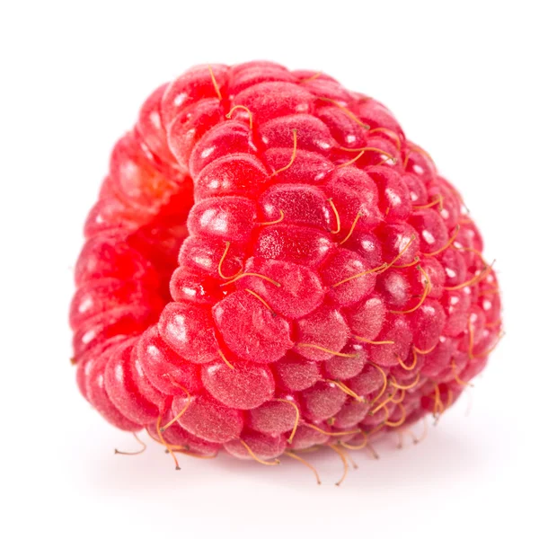 Raspberries Royalty Free Stock Images