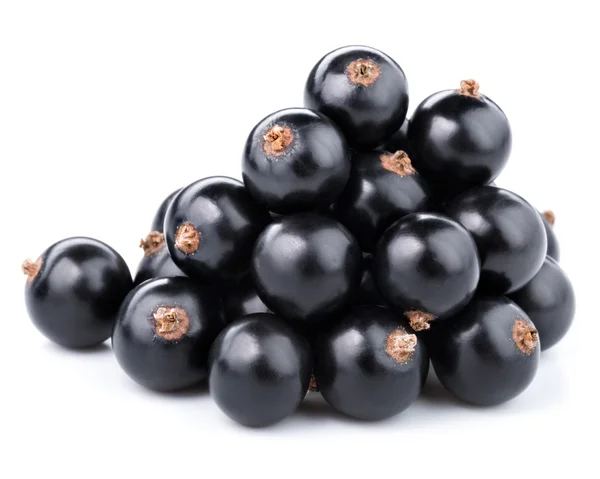 Currant — Stock Photo, Image