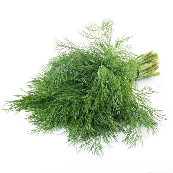 A bunch of fresh dill herb Stock Photo by ©alfa4studio 192087774