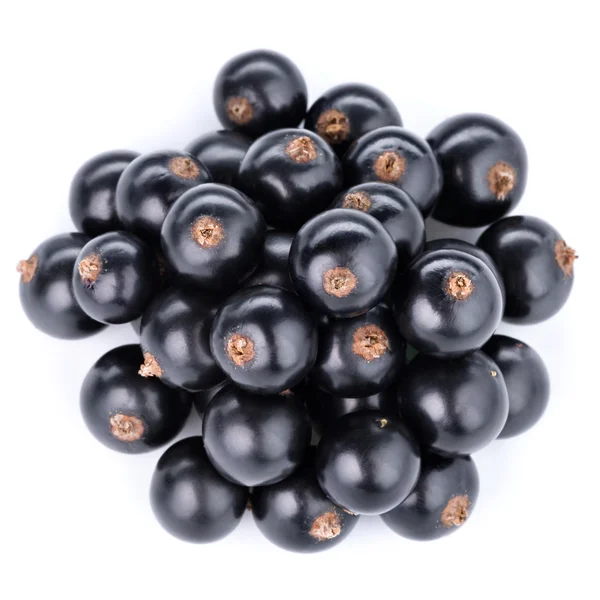 Currant — Stock Photo, Image