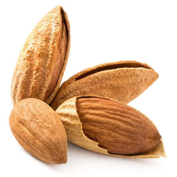 Amandes — Photo