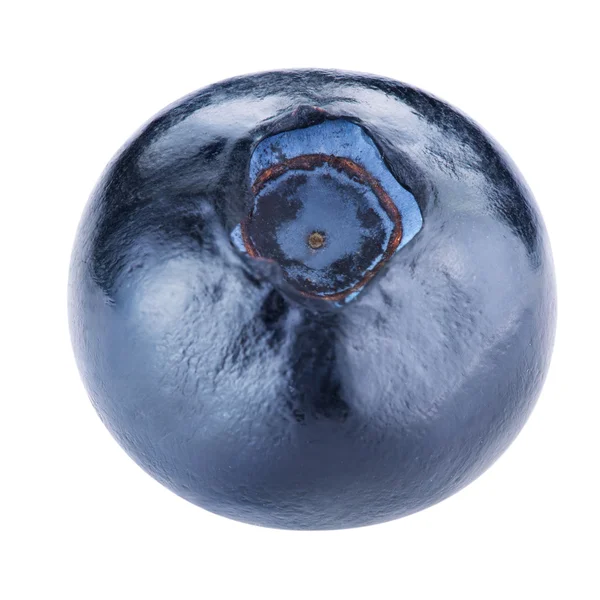 Blueberries — Stock Photo, Image