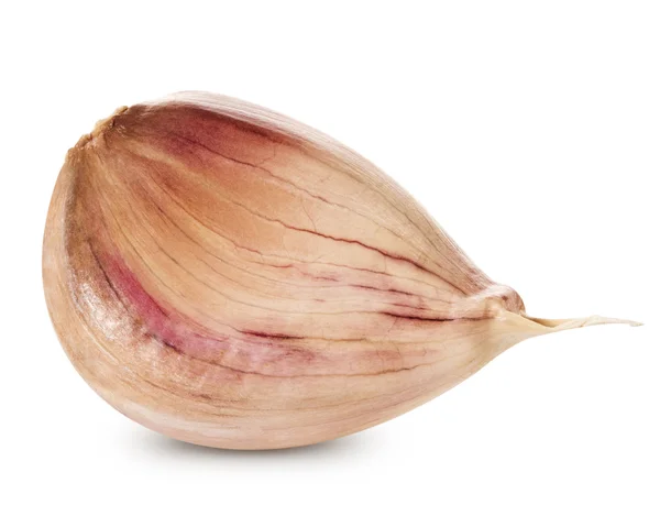 Knoblauch — Stockfoto