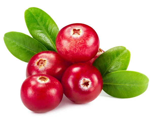 Cranberries — Stock Photo, Image