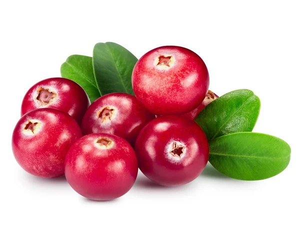 Cranberries — Stock Photo, Image