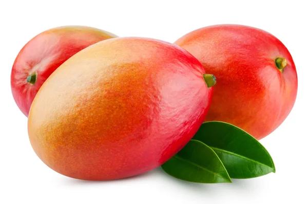 Mango — Foto Stock