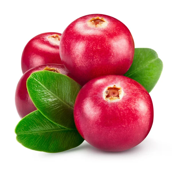 Cranberries — Stock Photo, Image